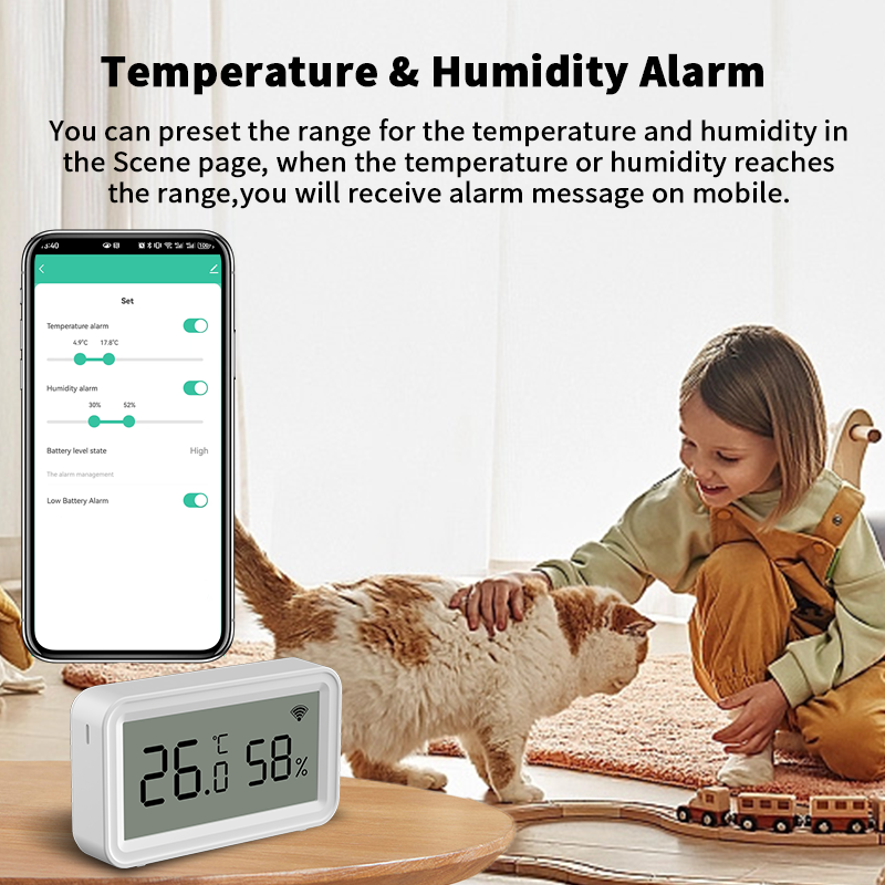 Tuya Zigbee WiFi Thermometer H - Temperature Humidity Sensor 리뷰 및 가격