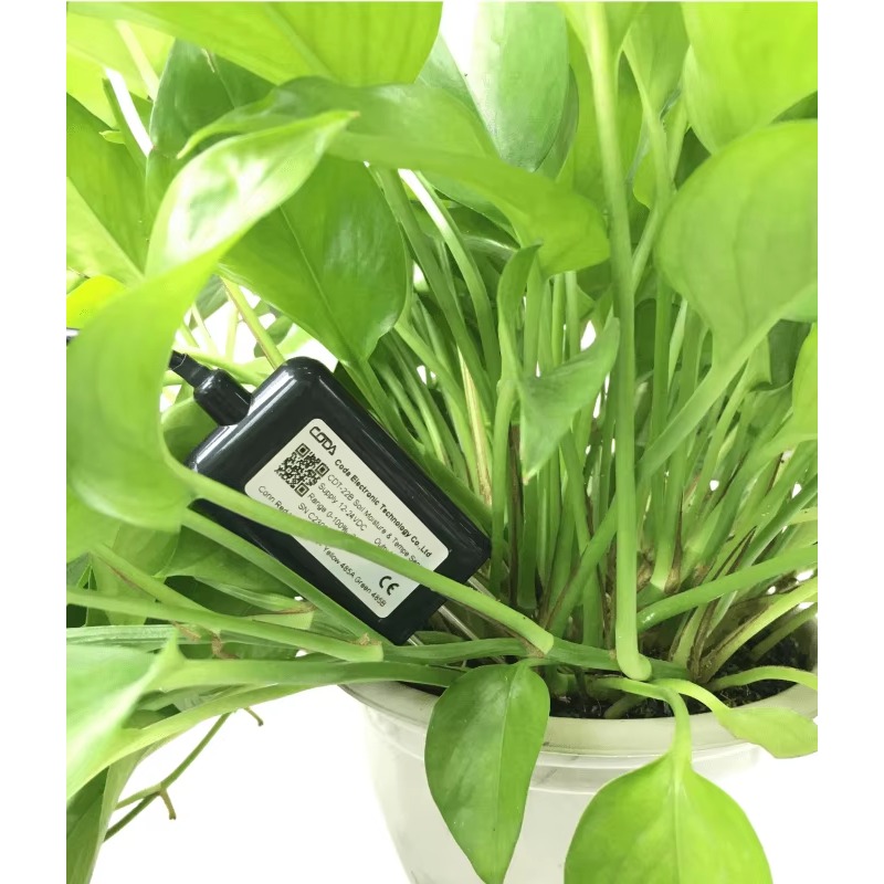 RS485 4-20mA Portable Soil Moi - Temperature Humidity Sensor 리뷰 및 가격
