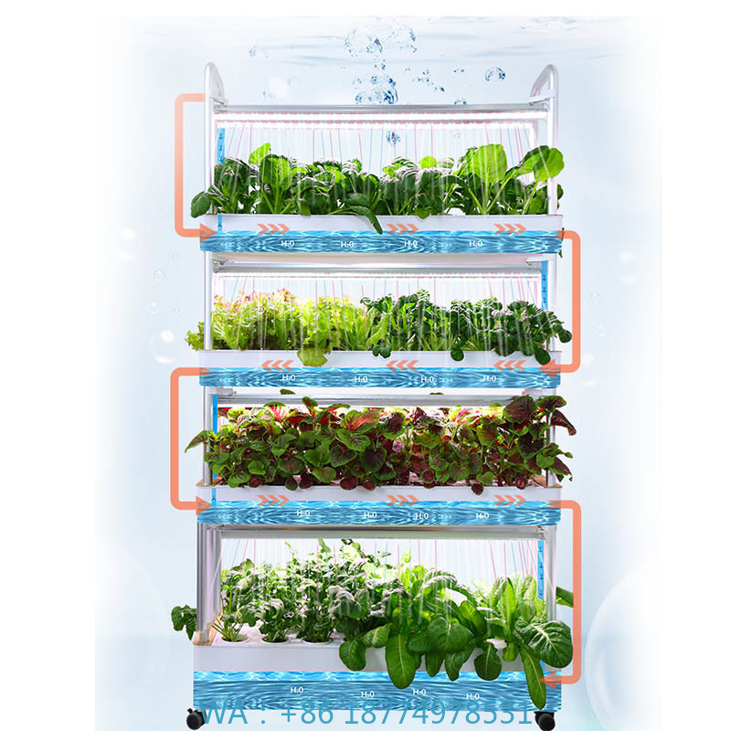 ydroponic Planting System Smar - Smart Home Automation Diy 리뷰 및 가격
