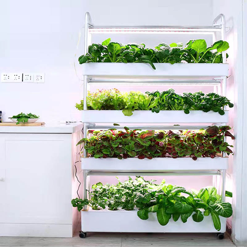 ydroponic Planting System Smar - Smart Home Automation Diy 리뷰 및 가격