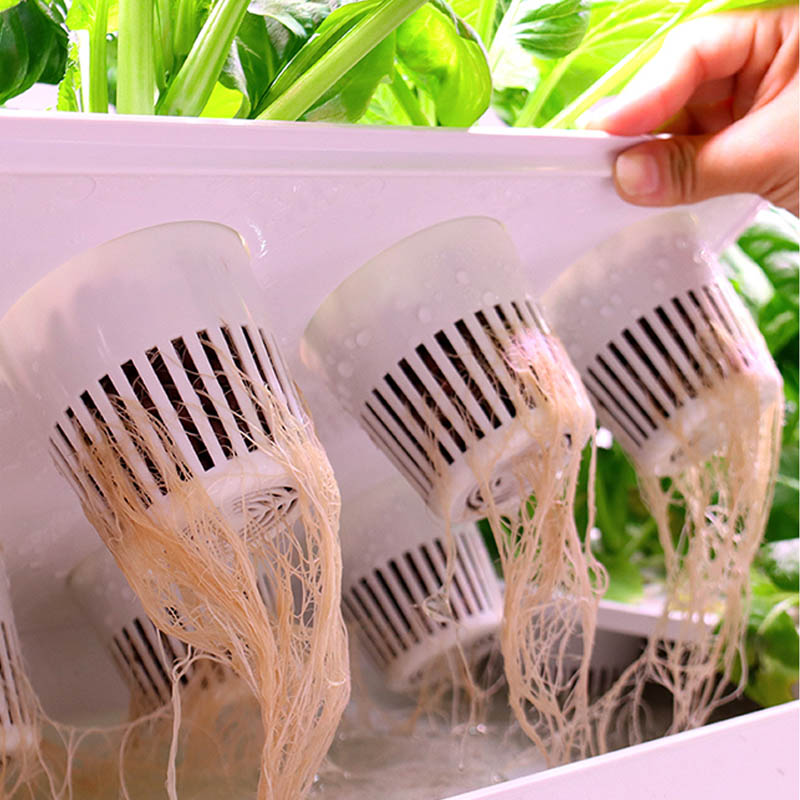 ydroponic Planting System Smar - Smart Home Automation Diy 리뷰 및 가격