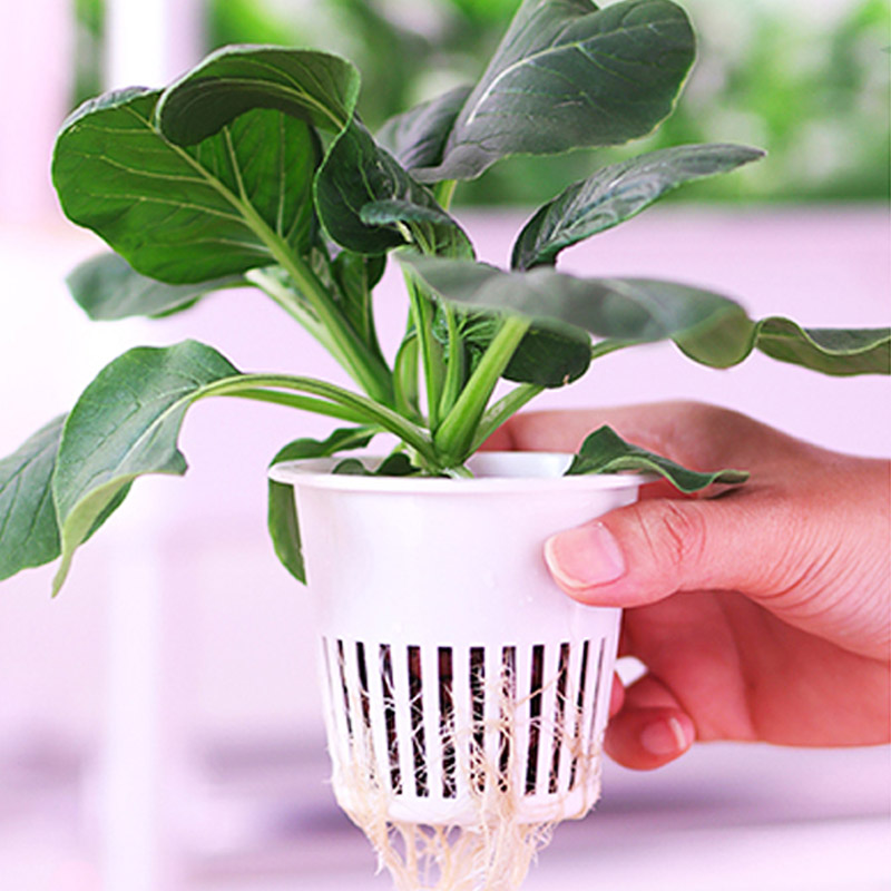 ydroponic Planting System Smar - Smart Home Automation Diy 리뷰 및 가격
