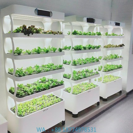 Hydroponic Automated Grow Syst - Home Automation Systems Diy 리뷰 및 가격